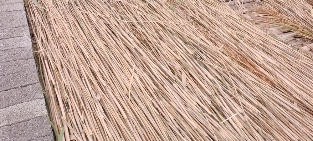 Ломбоз учун  камиш лобозга ишлатгани 1.5 кв 5 см 10 см калинликда йопа