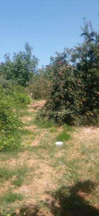 Yer uchastkasi sotiladi