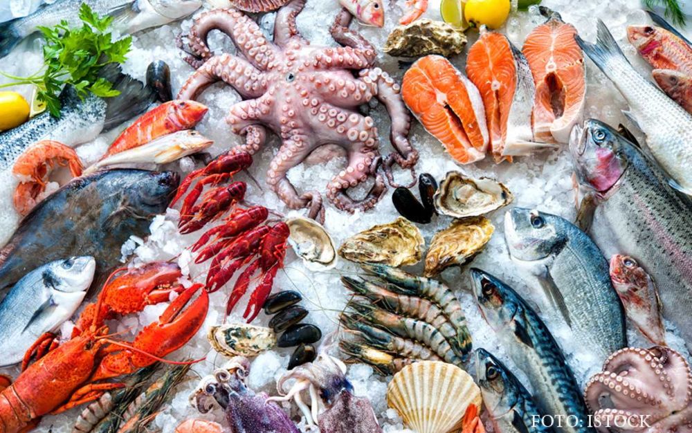 Bambas - Vitirna refrigerare peste, Vitrina expunere peste 150x85x125h