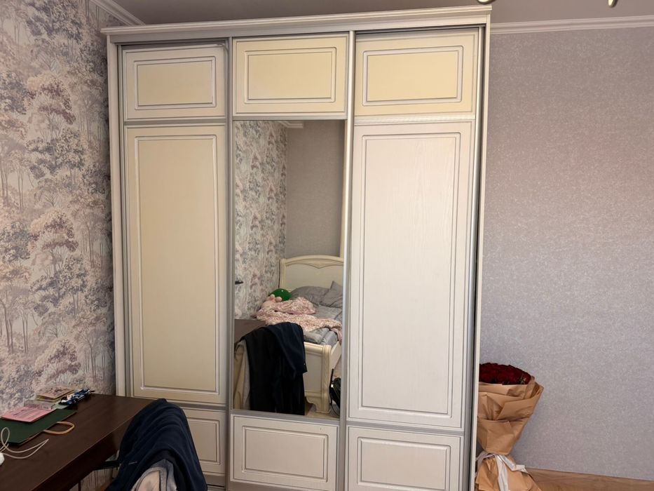 Выдвежной шкаф зеркалом