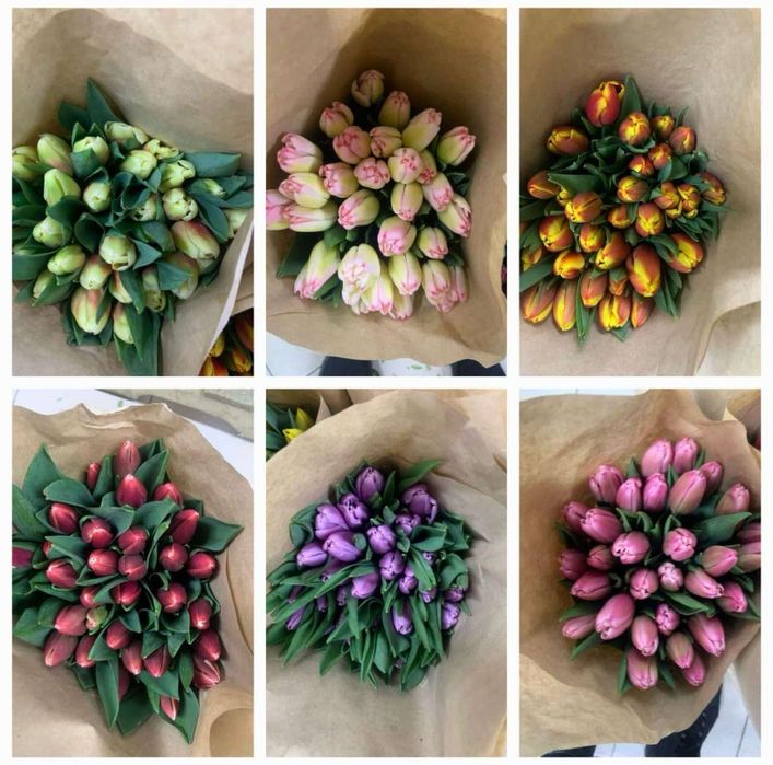 Тюльпаны оптом по очень 450 тг