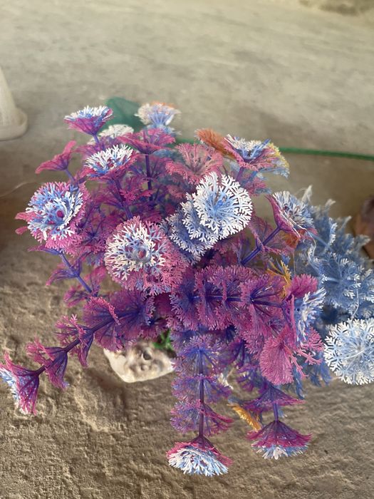 Для аквариума