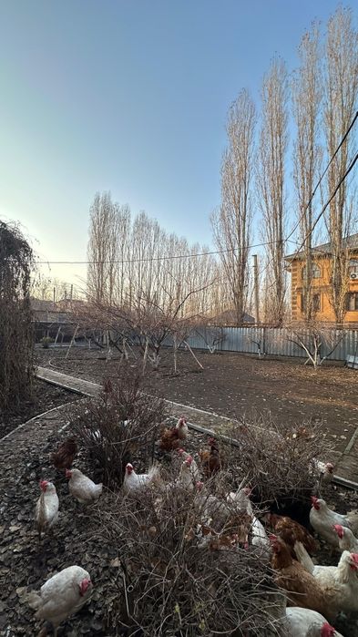 Продам коттедж 2 этажа