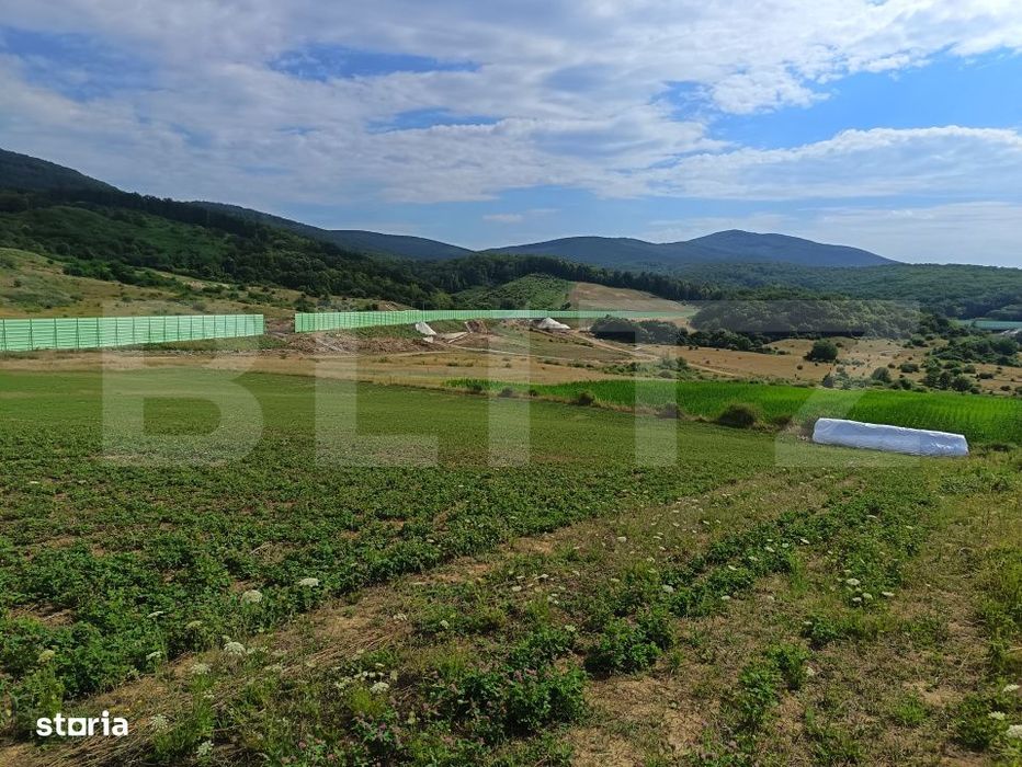 Teren extravilan, de vanzare, 6500 mp,  zona Crasnei