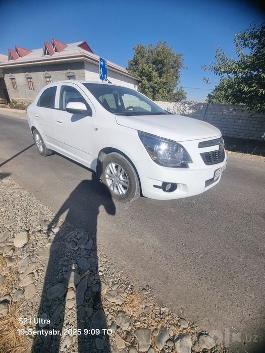 Koʻbalt stayl 2024