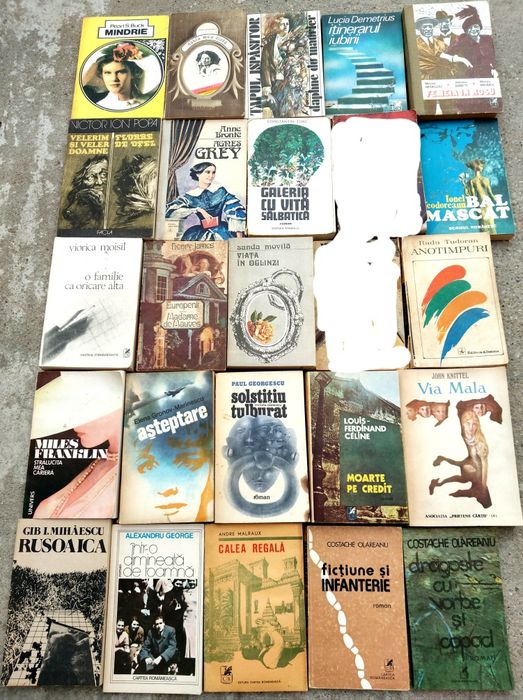 LICHIDARE STOC – CĂRȚI începând de la 2 lei pe carte

Vând URGENT mai multe loturi de cărți din bibliotecă personală – volum mare (3000+