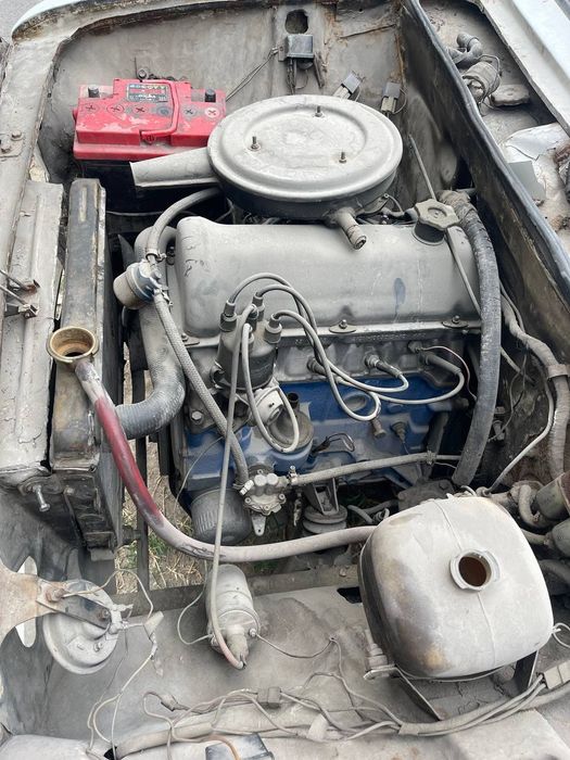 Jugli 01 mator karopka redutir