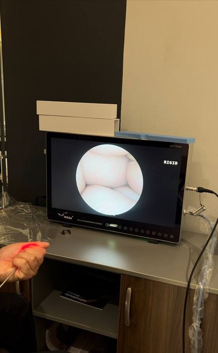 FullHD 24-дюймов икеда Видеоэндоскоп 3 в 1