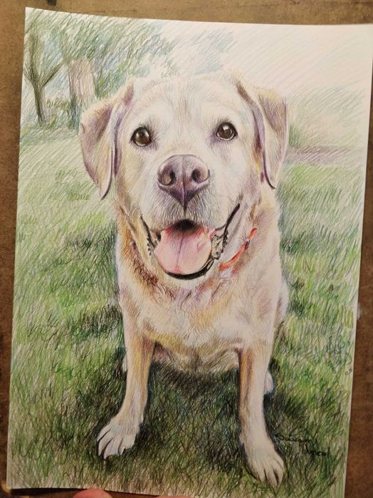 O poveste în culori. Portrete la comandă.