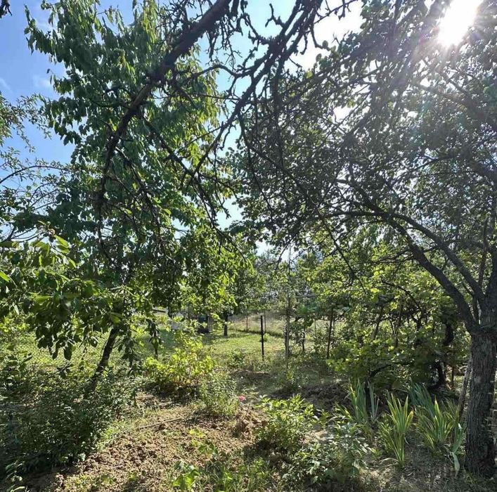 Продава се Парцел в с. Желява, Област София-град - 521 кв.м за 58 €/кв.м - Снимка #1