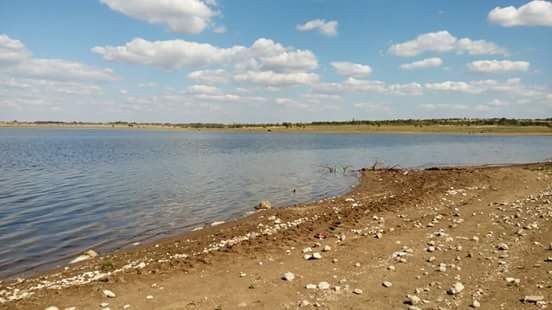 Продава се Земеделски имот в с. Рабиша, Област Видин -  кв.м за 4299 €/дка - Снимка #1