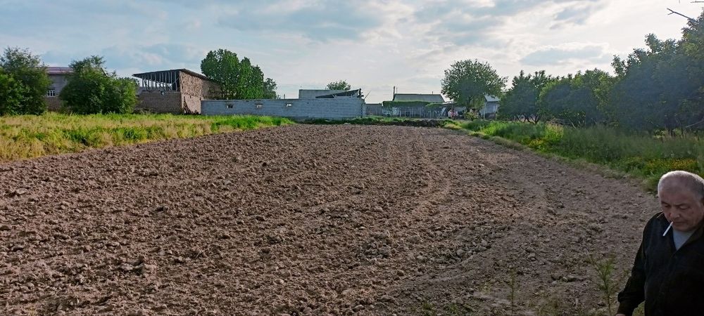 Тош вил Янгийўл тум. Халкобод победа кишлогиҚуруқ ер 8 сотих 12800$