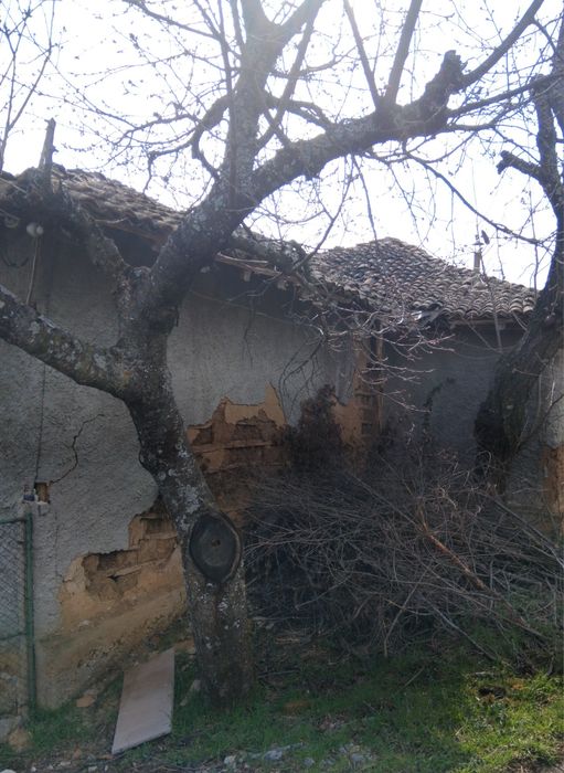 Продава се Парцел в с. Таваличево, Област Кюстендил - 904 кв.м за 15 €/кв.м - Снимка #4