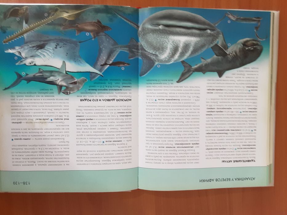 Подводный мир ( Полная энциклопедия )