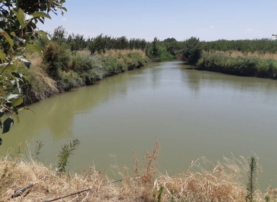 Участок на 4 гектара