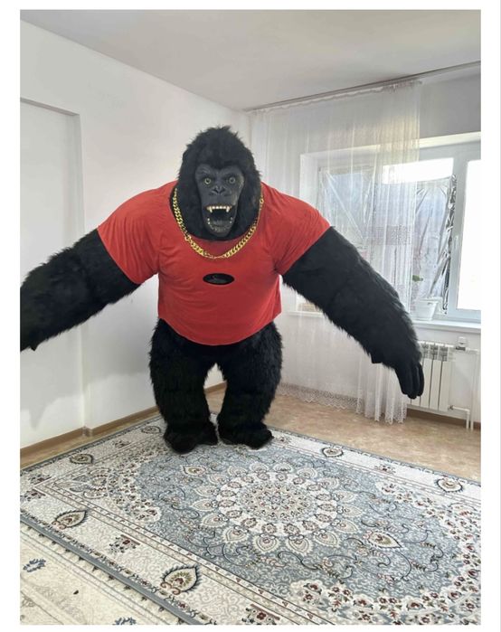 Аренда горилла прокат