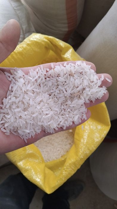 Күріш лазер рис лазер