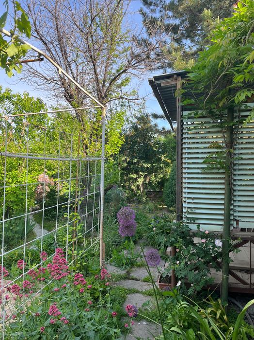 Дачный участок с домом