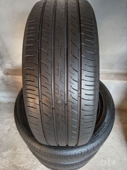 Byd chempion zavatskoy baloni