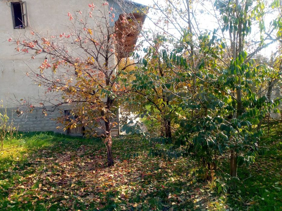 Ipadromda yer sotiladi 11.5 sotih