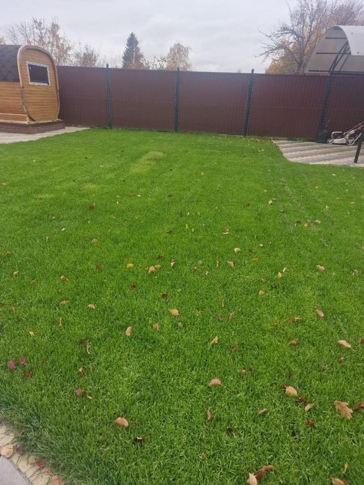 Газон рулонный посевной