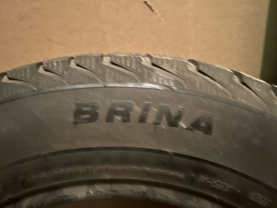 Дөңгелек қыстық жағдайы жақсы