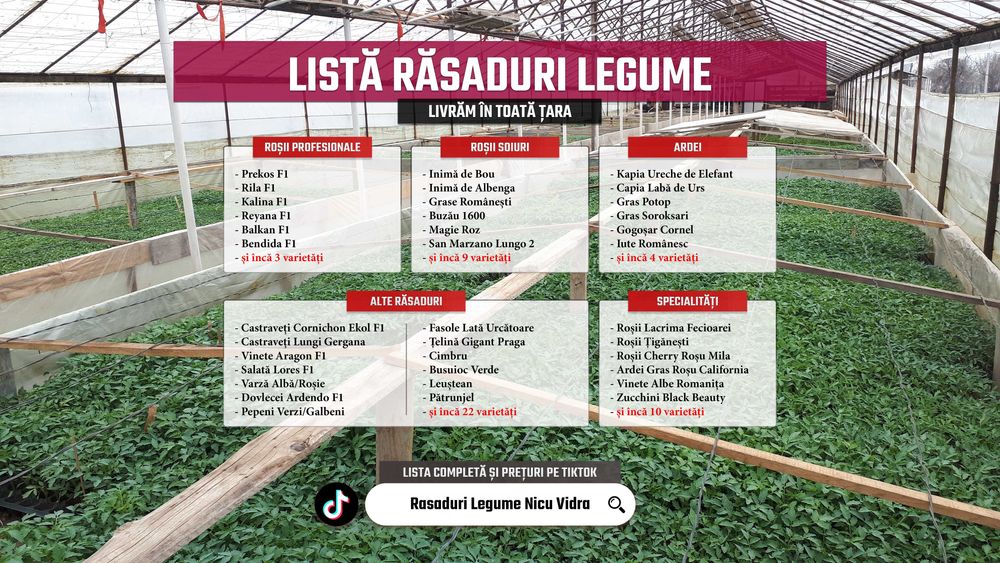 Rasad de rosii / Rasaduri rosii, vinete, ardei, alte rasaduri legume