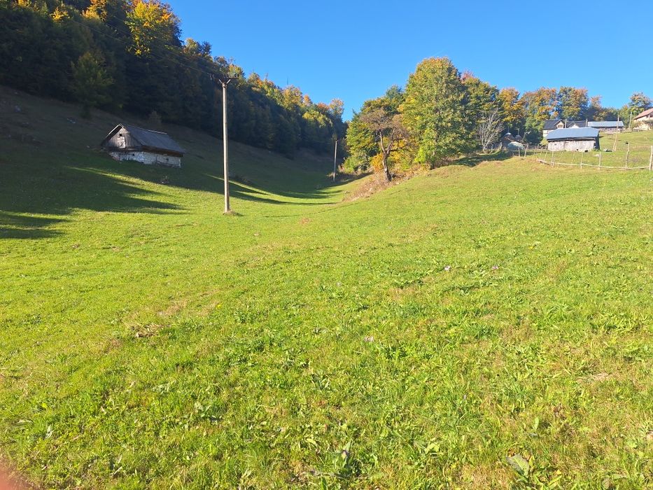 Teren intravilan