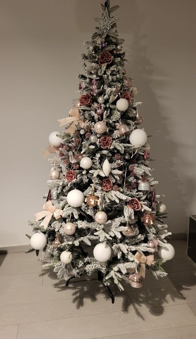 Brad nins,2.10m cu toate accesoriile