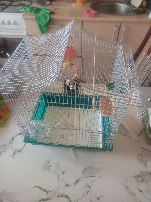 Продаеца клетка для попугаев