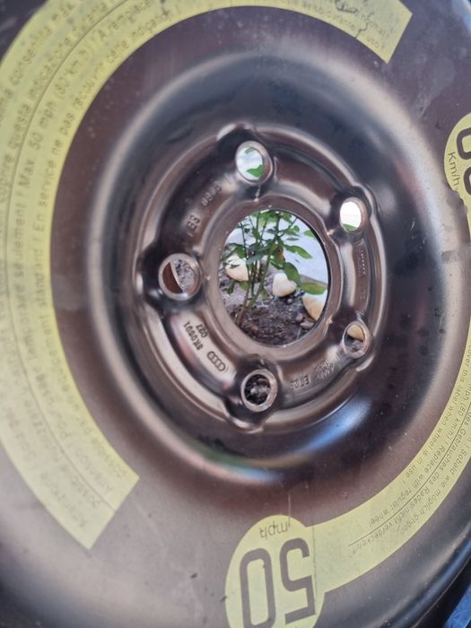 Резервна гума патерица за Audi a4 B8 125/80/19