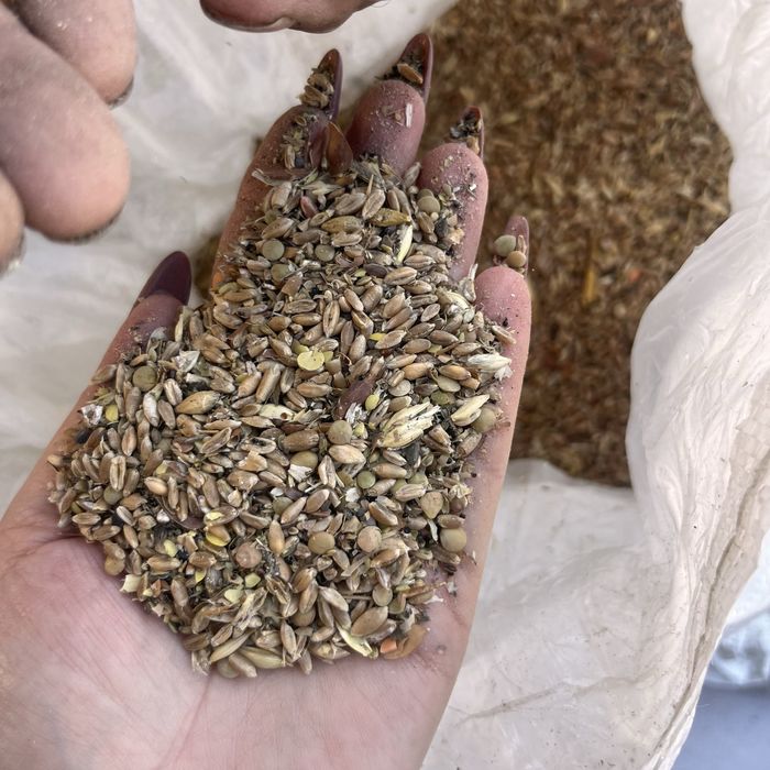 Дробленка зерноотход зерносмесь