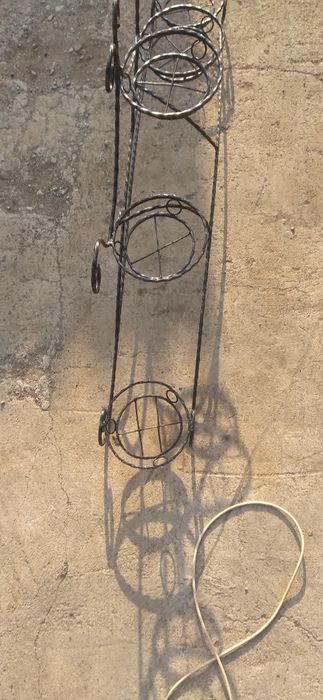 Падцеточник гул қоятын