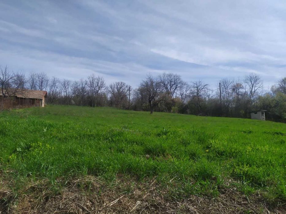 Парцел /дворно място/ в регулация в село Войнежа