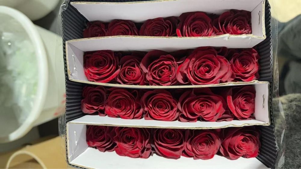 Акция Оптом розы 450 розница 650