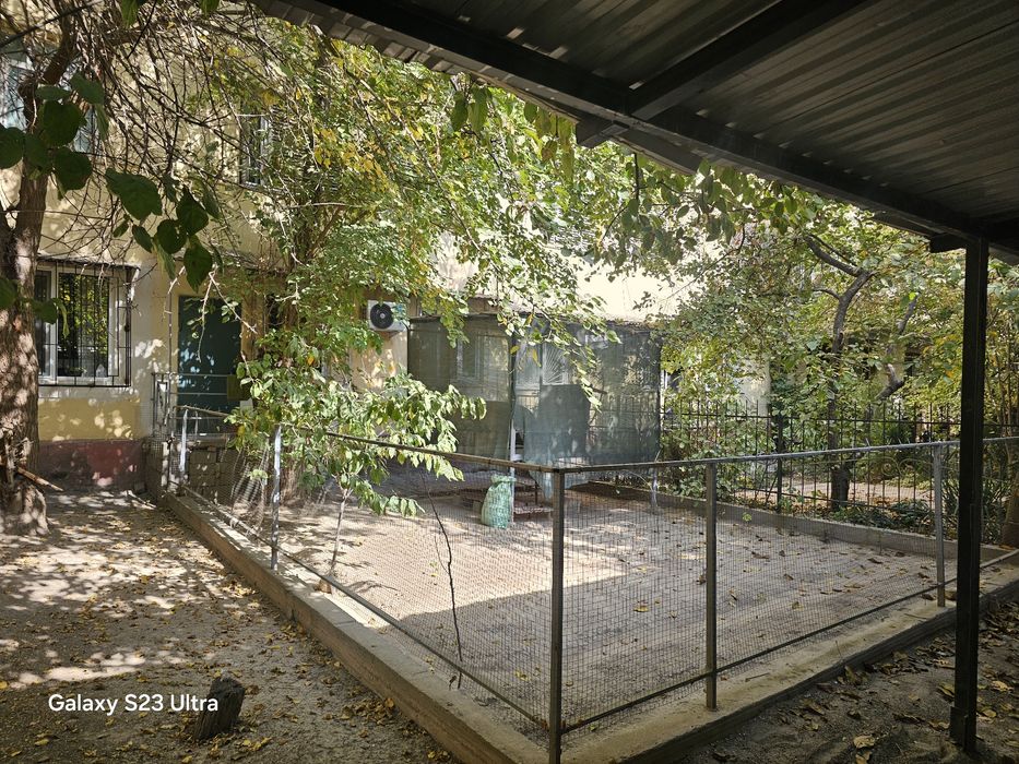 Ц5, Алайский, 3/1/4 Собственник.