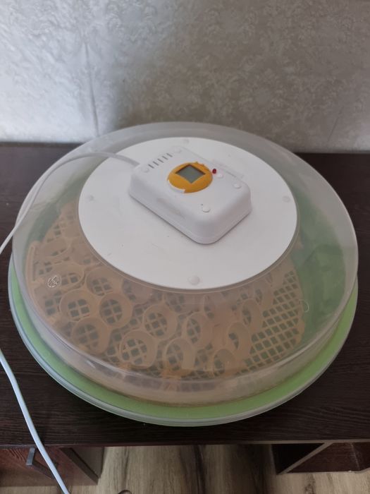 Incubator Puisor