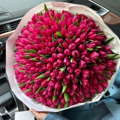 Тюльпаны на 8 марта