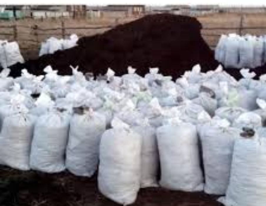 Навоз қапшықпен сиырдыкы