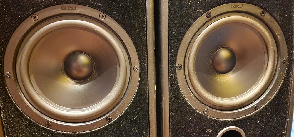 Boxe Canton Ergo 80