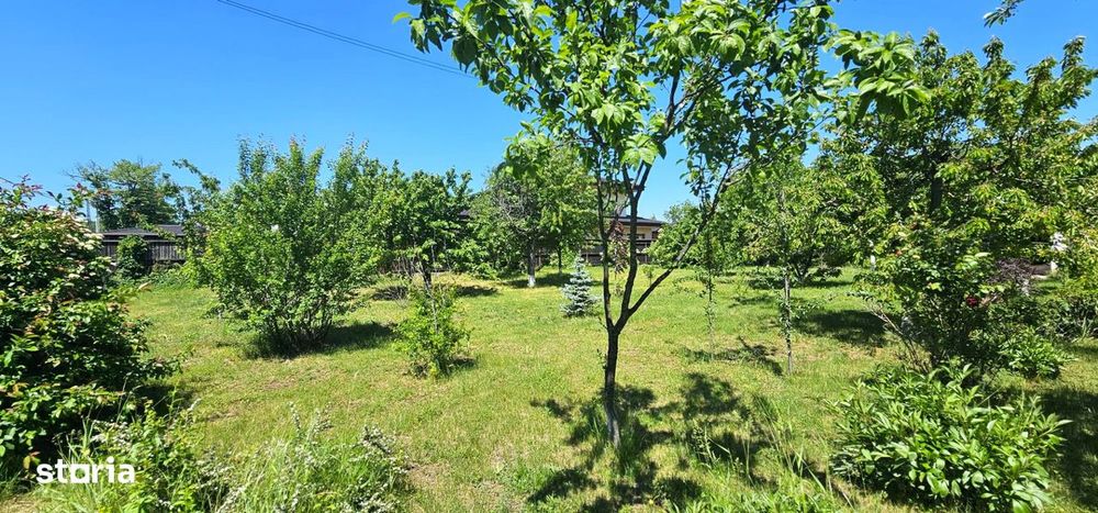 RARA AVIS! Teren 1550 mp, deschidere 31 m, zona Ferme, Otopeni