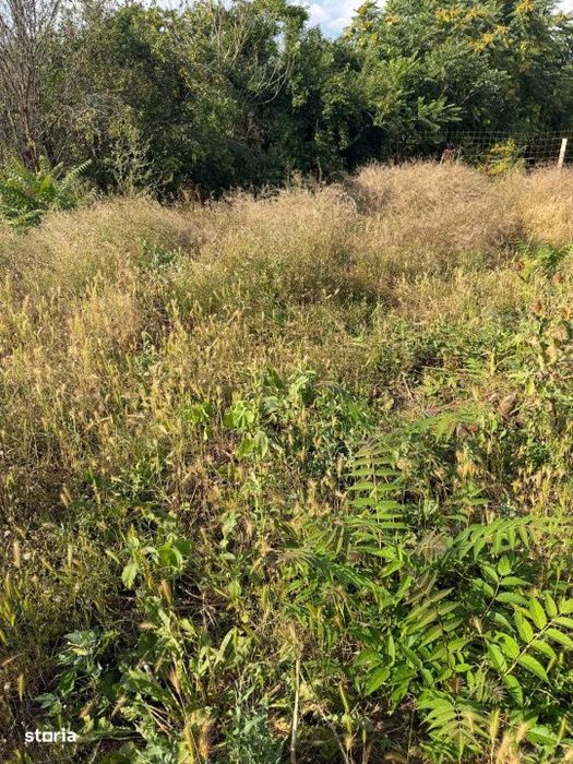 Teren intravilan, 420 mp – zona Malu Mare