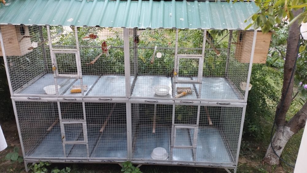 Qafas sotiladi продается валер