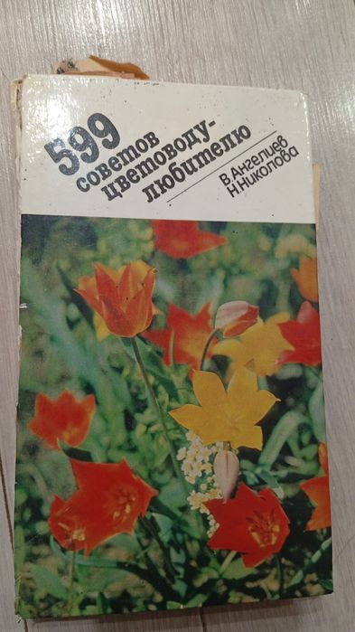 Цветы книга, кактус Юг