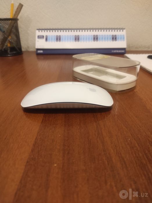 Apple Magic Mouse 1