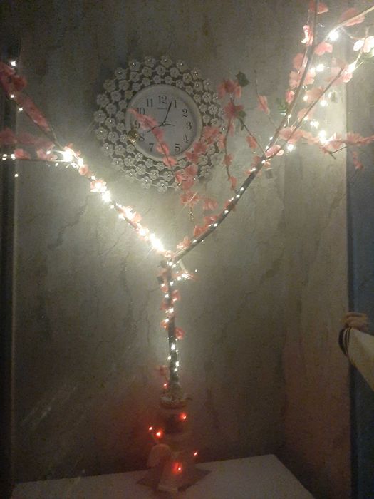 Дерево сакура розовая роза.