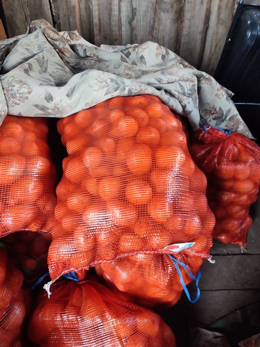 Продам картофель