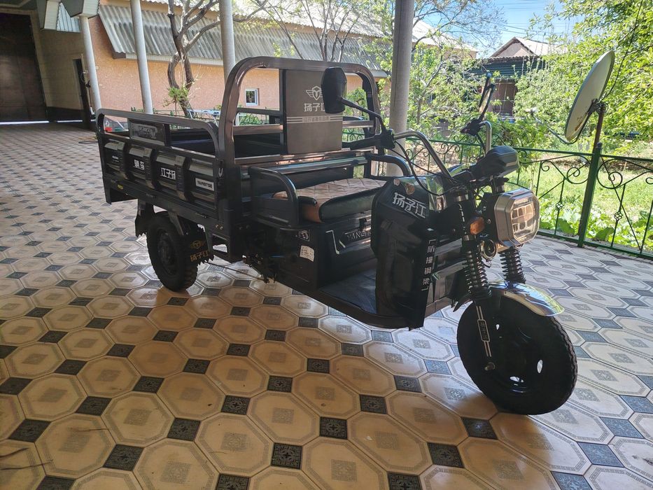 Трицыкол муравей