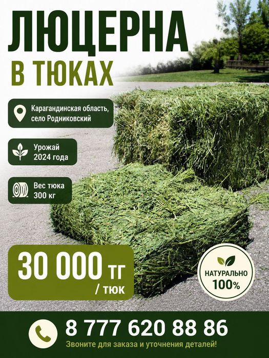 Люцерна в тюках свежий покос