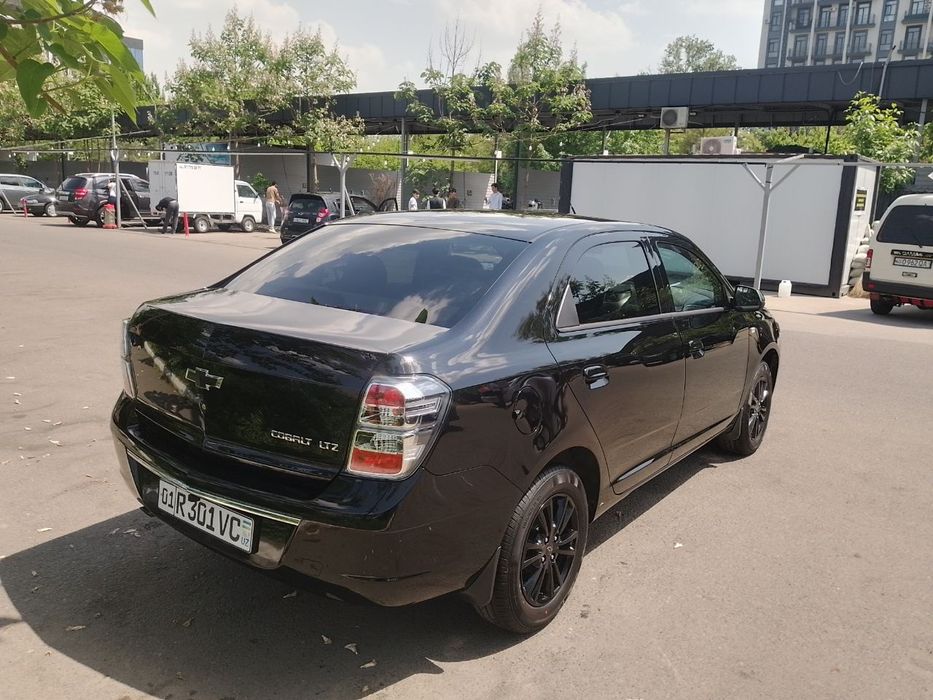 Cobalt Midnight 2025